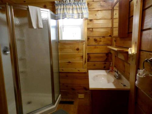 a bathroom with a shower and a sink at Spacious Cabin Rental with a Hot Tub near the Gauley River in West Virginia in Hico