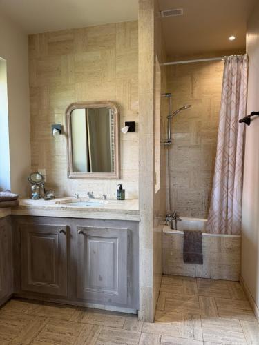 un bagno con lavandino e doccia con specchio di La-Villanelle - Magnifique vue sur le lac, 5 minutes à pied de la plage a Veyrier-du-Lac