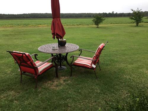 dos sillas y una mesa con una sombrilla en un campo en Serene Tiny House with a Big Charm for Glamping in Virginia, en Accomac
