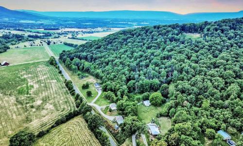 an aerial view of a forest of trees at Cozy Mountain Cabin with Hot Tub & Scenic Views in Stanley, Virginia in Marksville