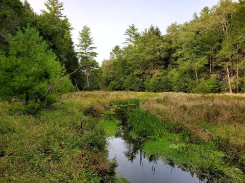 a river in a field with trees and grass at Eco-Friendly, Abstract Treehouse Surrounded by Wildlife and Hiking Trails For a Special Getaway in Sparrow Bush, New York in Cahoonzie