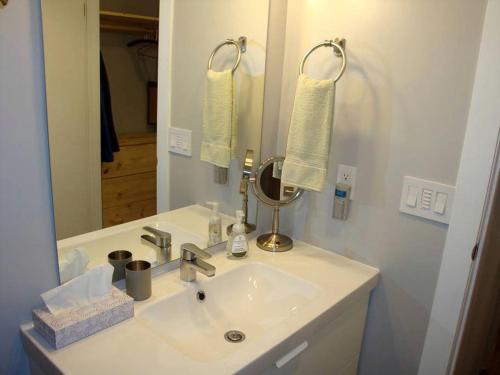 a bathroom with a sink and a mirror at Pet-Friendly Cabin Rental Overlooking a River near Skykomish, Washington in Baring
