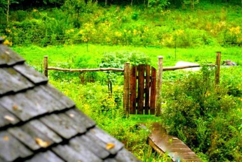 Zahrada ubytování Rustic Norwegian-Style Log Cabin Rental near the Upper Iowa River in Decorah, Iowa