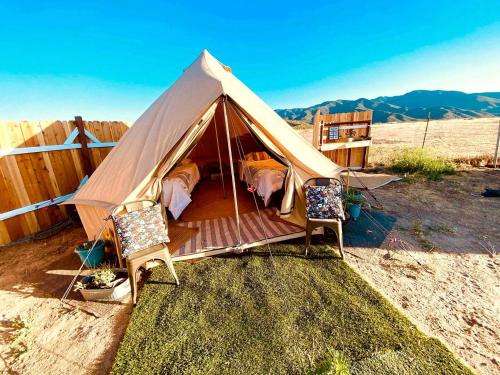 a tent with two beds and two chairs at The Pink Pony Yurt, New Cuyama, CA in New Cuyama