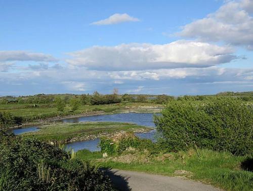 a river in the middle of a field at Charming Cabin Rental for Two Guests by the River Shannon, Ireland in Effernan