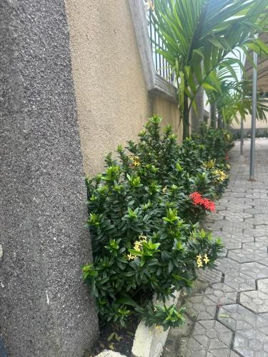 Jardín al aire libre en Residence Ngongbadang