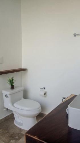 Spacious Lake House with Pool and Fire Pit near Lagoon in Xul-Ha, Quintana Rooにあるバスルーム