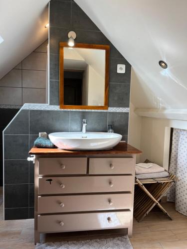a bathroom with a sink and a mirror at Gîte de la Pisserotte in Montigny-sur-Armançon