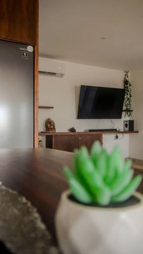 Spacious Lake House with Pool and Fire Pit near Lagoon in Xul-Ha, Quintana Rooにあるテレビまたはエンターテインメントセンター