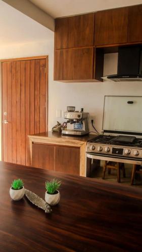 Spacious Lake House with Pool and Fire Pit near Lagoon in Xul-Ha, Quintana Rooにあるキッチンまたは簡易キッチン