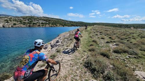 Villa LuLu kamena Villa s bazenom otok Krk selo Gostinjac