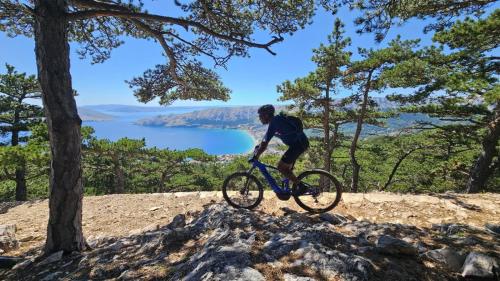 Villa LuLu kamena Villa s bazenom otok Krk selo Gostinjac