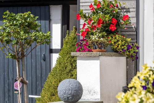 a bunch of flowers on a balcony with a door at Mama Mia in Platteheide