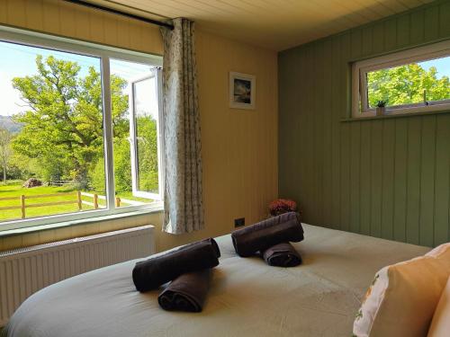a bedroom with a bed with a large window at 1 Bed in Conwy 95098 in Llangelynin