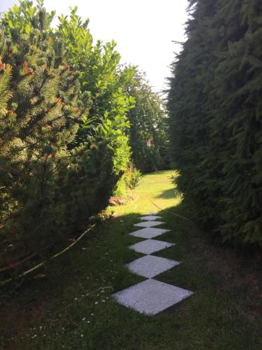 Κήπος έξω από το Ferienwohnungen Reetwinkel in Wieck