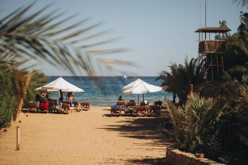 people sitting on the beach with chairs and umbrellas at The Wind Farm in Dahab