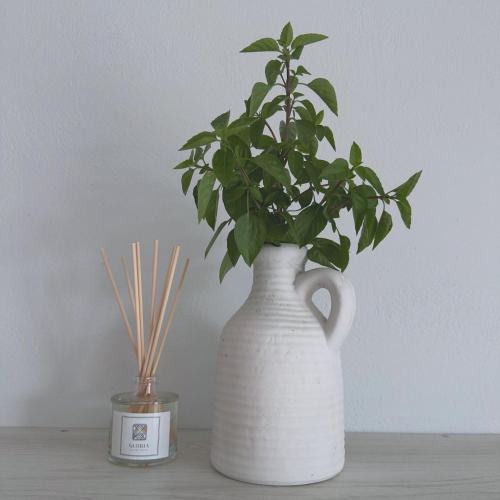 a white vase with a plant in it on a table at Gloria Luxury Suites in Kallithea Halkidikis
