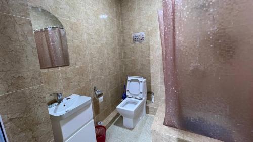 a bathroom with a toilet and a sink and a shower at L&K Hostel in Toshkent-Passajir Bekati