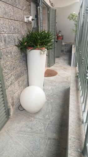 a large white vase sitting on the side of a building at Sally's House in Venaria Reale