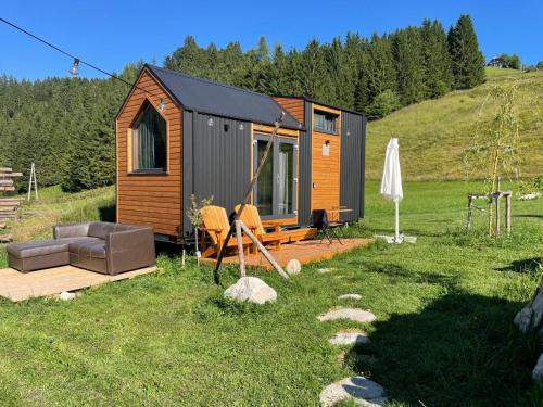 Free Zone X by Tiny Away