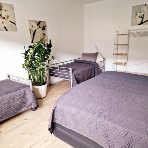 a bedroom with two beds and a plant at Holle - Land Holidays, parterre Ferienwohnung in Lichtenau