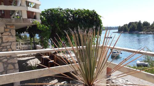 a plant in front of a building next to the water at Holiday Home Villa Venta in Trogir