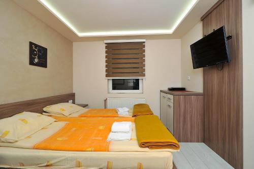 a bedroom with two beds and a flat screen tv at Vila Mina in Zlatibor