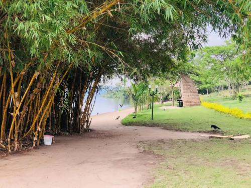 a path in a park with trees and a body of water at Muhazi Flowers Beach & Resorts in Rwamagana