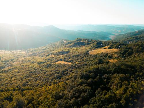 an aerial view of a valley with trees at Wild Orchard Farm in San Costantino Albanese