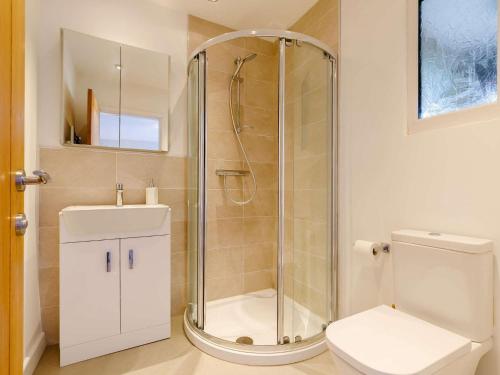 a bathroom with a shower and a toilet and a sink at 4 Bed in Alsop-En-Le-Dale 88935 in Alsop en le Dale
