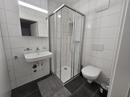 a bathroom with a shower and a toilet and a sink at Cosy private room in Lausanne center in Lausanne