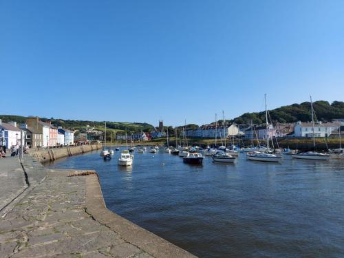 a group of boats are docked in a harbor at 3 Bed in Cenarth 79198 in Felindre