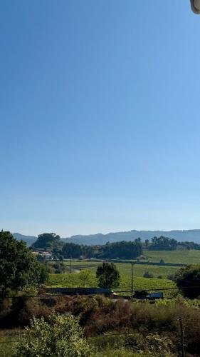 a view of a field with trees and a fence at Horizonte da Vinha in Santo Tirso