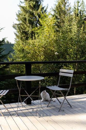 a white cat sitting next to two chairs and a table at Moho Будинки для відпочинку in Bukovel
