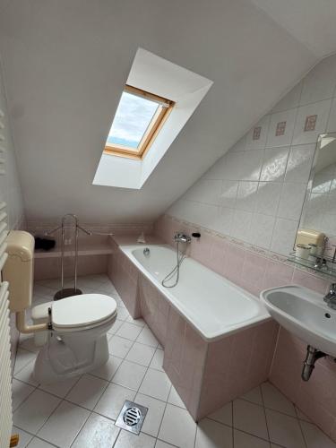 a bathroom with a toilet and a sink and a skylight at Pannon Tokaj Vendégház in Tolcsva