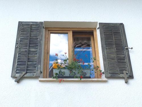 Fotografie z fotogalerie ubytování Old Bled House v Bledu