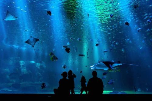 a group of people standing in front of a large aquarium at Cityside Comfort LOFT Chippendale in Sydney