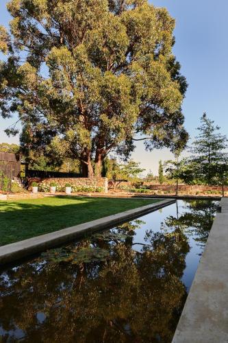 un riflesso di un albero in un pozzo d'acqua di The Barn at Stonewalls - Farm stay in 25 acres a Musk