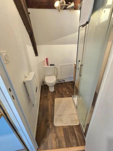 a small bathroom with a toilet and a shower at Studio confortable à Montluçon - 19 m² avec équipements pratiques in Montluçon