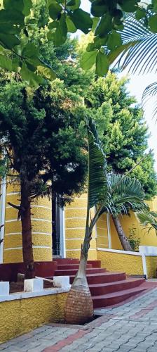 Zahrada ubytování Hill Fort Hotel And Resorts Yelagiri Hills