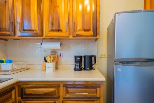 a kitchen with wooden cabinets and a stainless steel refrigerator at Musgrave AnneX- comfy 1 bedroom apartments in Kingston
