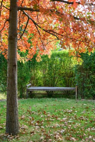 a park bench sitting under a tree in a park at The Retreat - Reconnect with nature in style in Musk