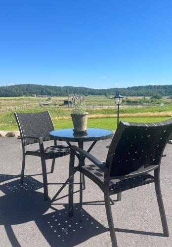 a table and two chairs sitting next to a table with a potted plant at Annas gård, stall & pensionat in Fjärås