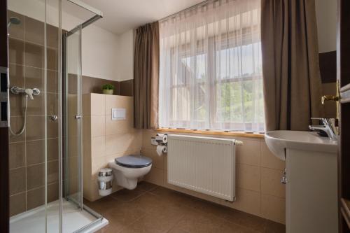 a bathroom with a toilet and a sink and a shower at Hotel STARÝ MLÝN in Jeseník