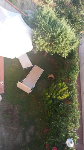 an overhead view of a garden with flowers and trees at Campese Apartments in Campese