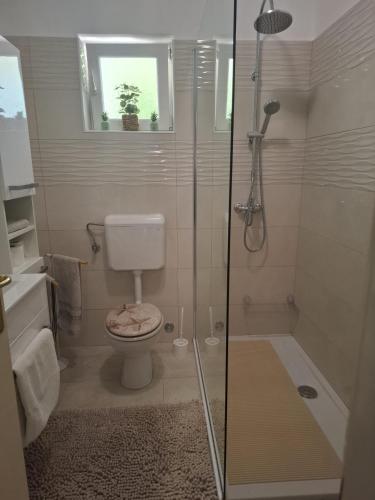 a bathroom with a shower and a toilet and a tub at Zvjezdana in Kampor