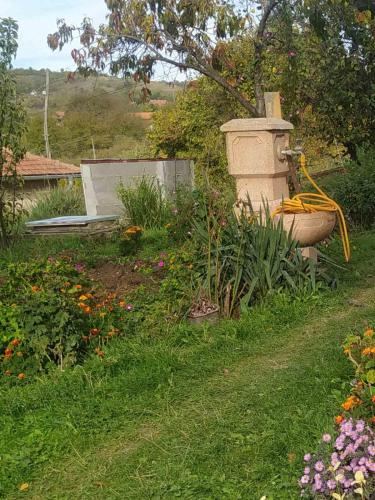 Un jardín fuera de Sobe Popovica