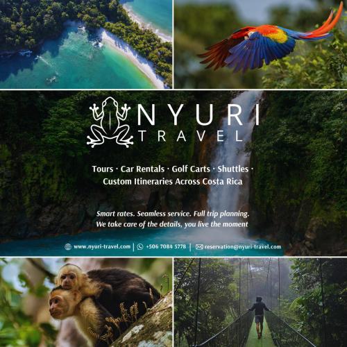 a collage of photos with a picture of a monkey and a river at Sunny Tropical Condo And Rooftop Terrace in Coco