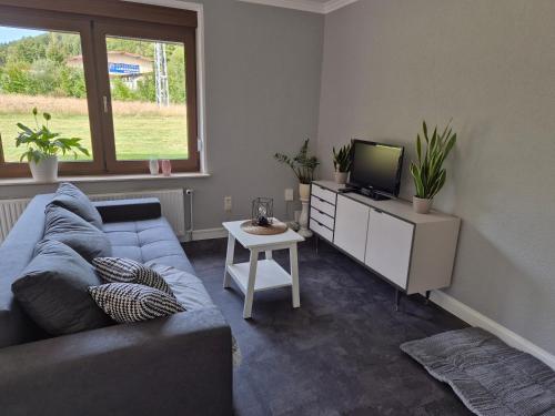 a living room with a blue couch and a television at Alte Ölmühle im Herzen des Thüringer Waldes in Friedrichroda