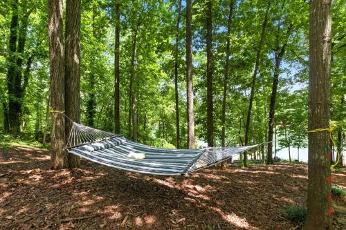 a hammock in the middle of a forest at The Holiday House w Dock in Townville